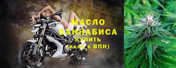 сатива Дмитриев