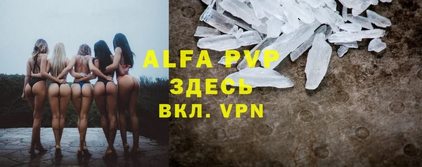 дмт Дмитров