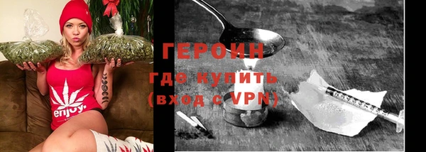 сатива Дмитриев